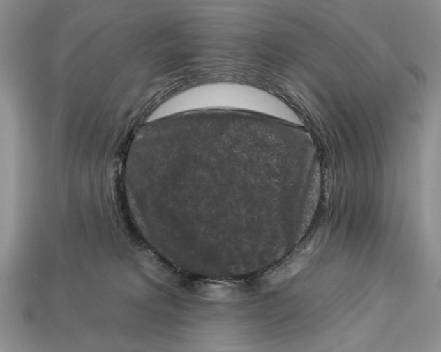X0000112930229200909211120