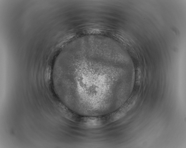 X0000112930230200909211120