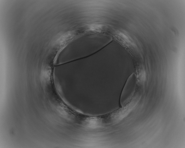 X0000112930231200909211120