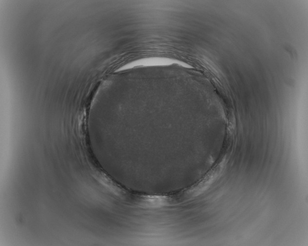 X0000112930233200909211120