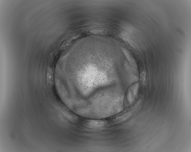 X0000112930234200909211120
