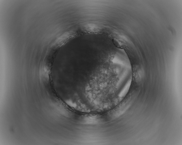 X0000112930235200909211120