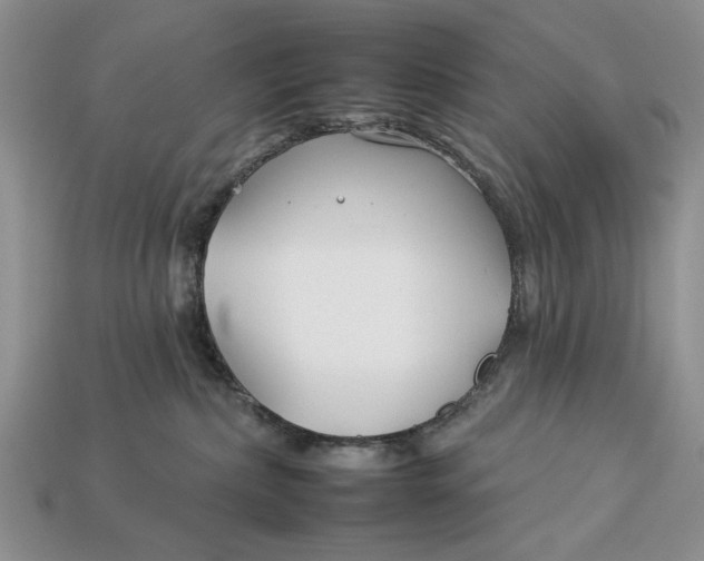 X0000112930236200909211120