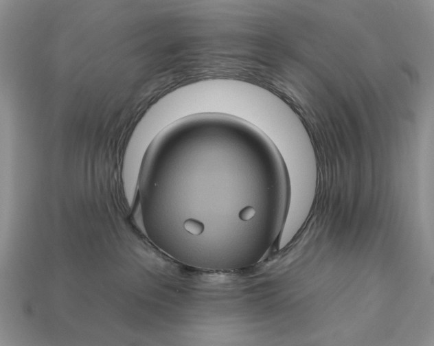 X0000112930237200909211120