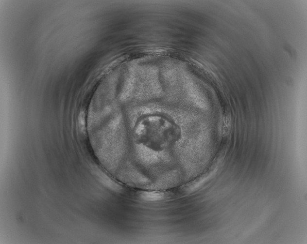 X0000112930238200909211120