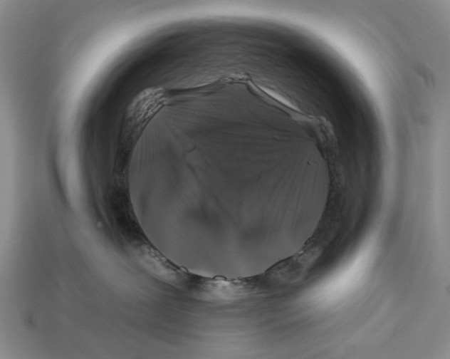X0000112930239200909211120