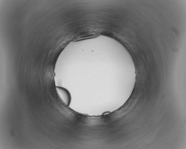 X0000112930240200909211120