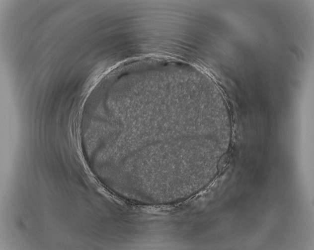 X0000112930241200909211119
