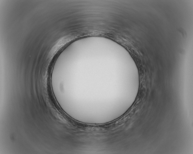 X0000112930242200909211119