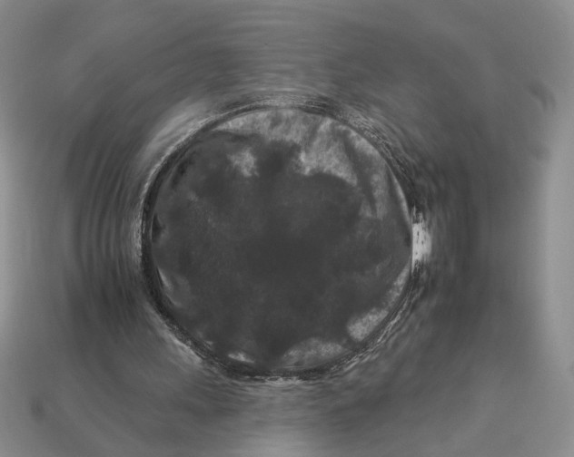 X0000112930243200909211119