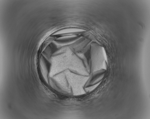 X0000112930244200909211119