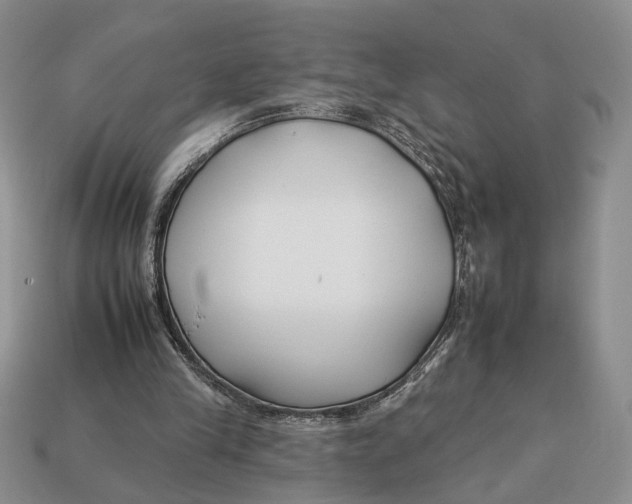 X0000112930245200909211119