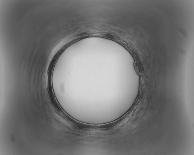 X0000112930246200909211119