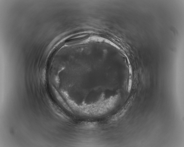 X0000112930247200909211119