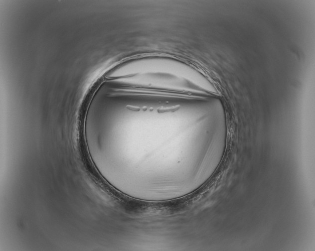 X0000112930248200909211119