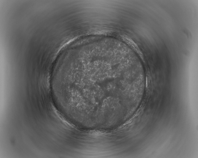 X0000112930249200909211119
