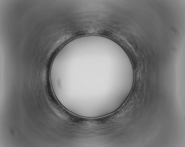 X0000112930250200909211119