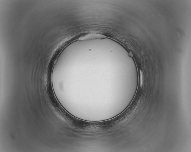 X0000112930252200909211119