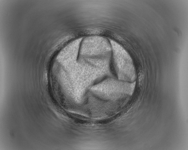 X0000112930254200909211119