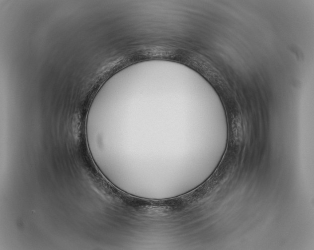 X0000112930255200909211119