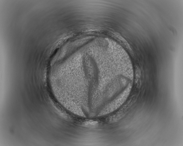 X0000112930257200909211119