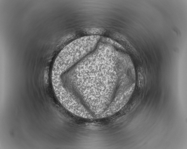 X0000112930259200909211119
