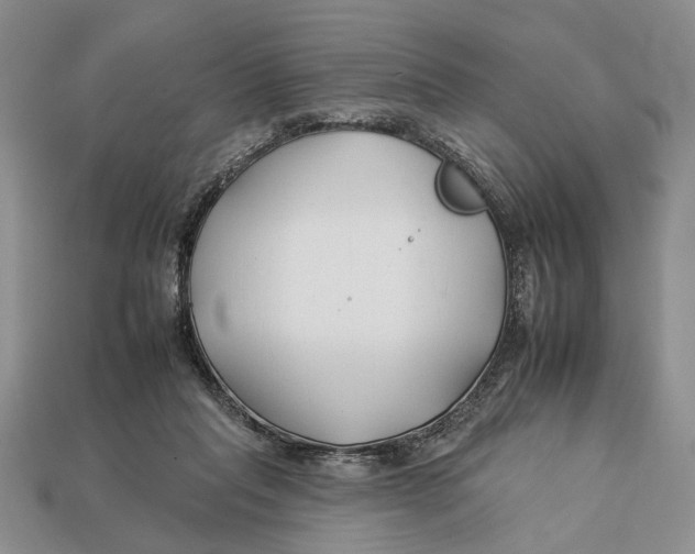 X0000112930261200909211119