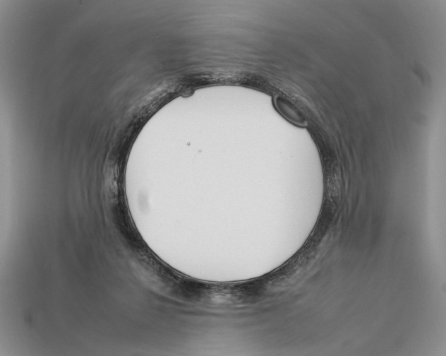 X0000112930264200909211119