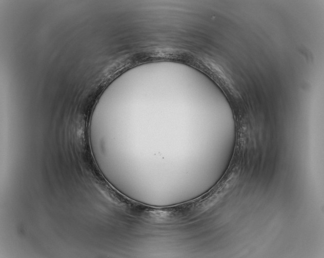 X0000112930265200909211119