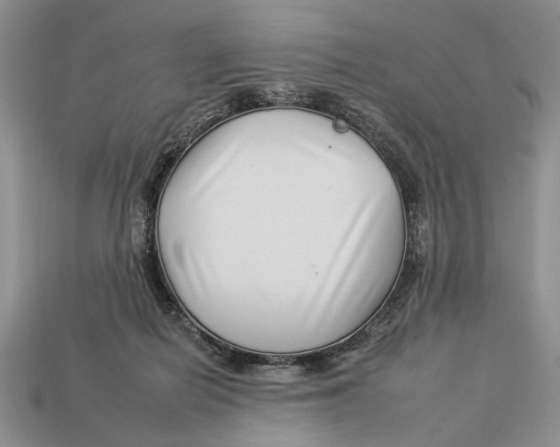 X0000112930266200909211119