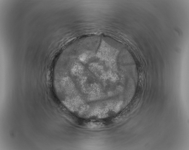 X0000112930270200909211119