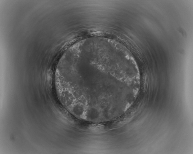 X0000112930271200909211119