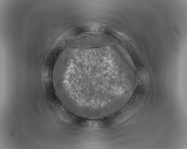X0000112930272200909211119
