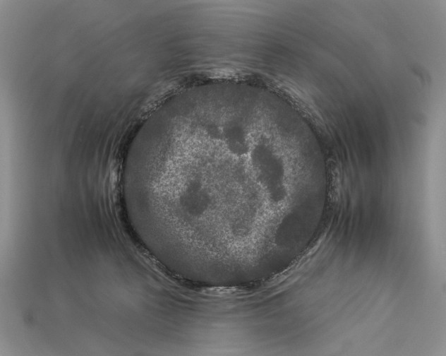 X0000112930273200909211119