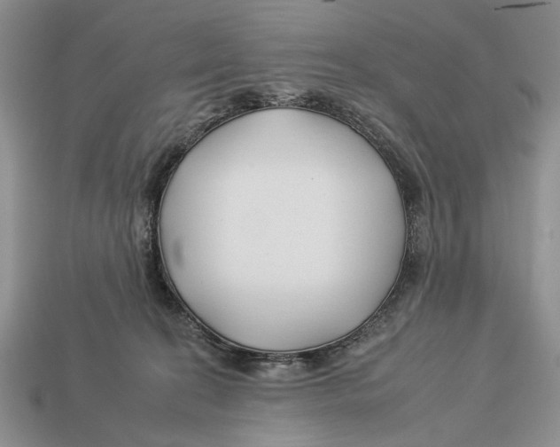 X0000112930274200909211119