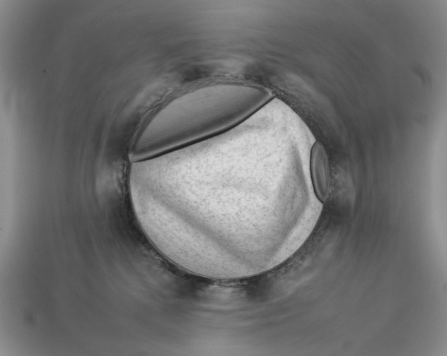 X0000112930280200909211119