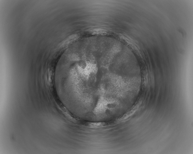 X0000112930281200909211119