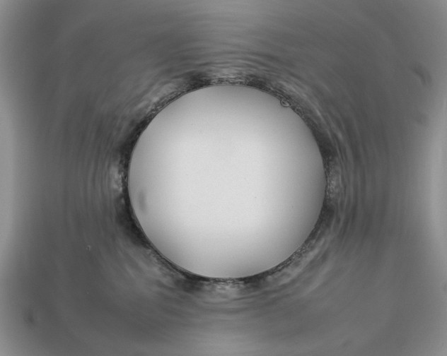 X0000112930282200909211119