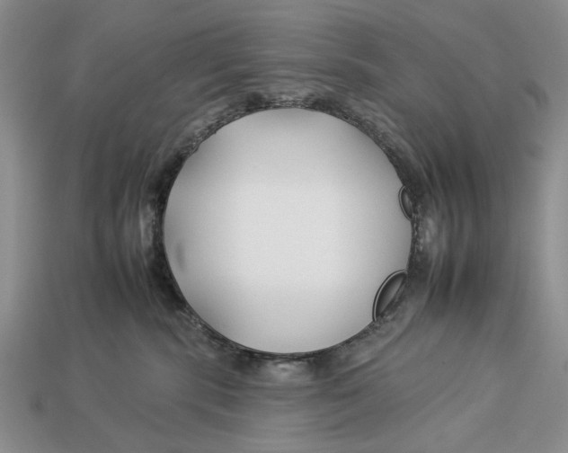 X0000112930283200909211119