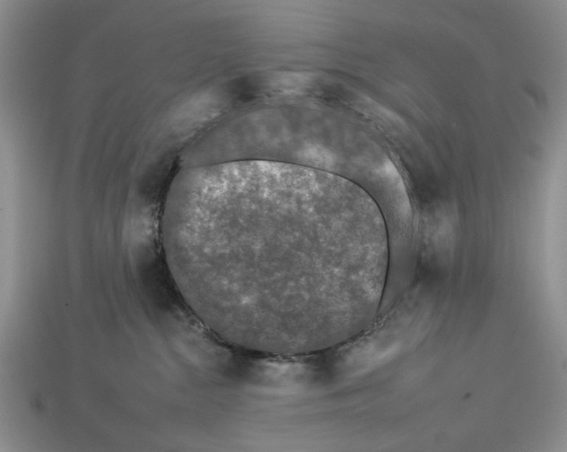 X0000112930284200909211120