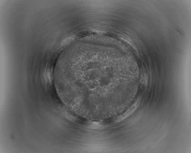 X0000112930285200909211120