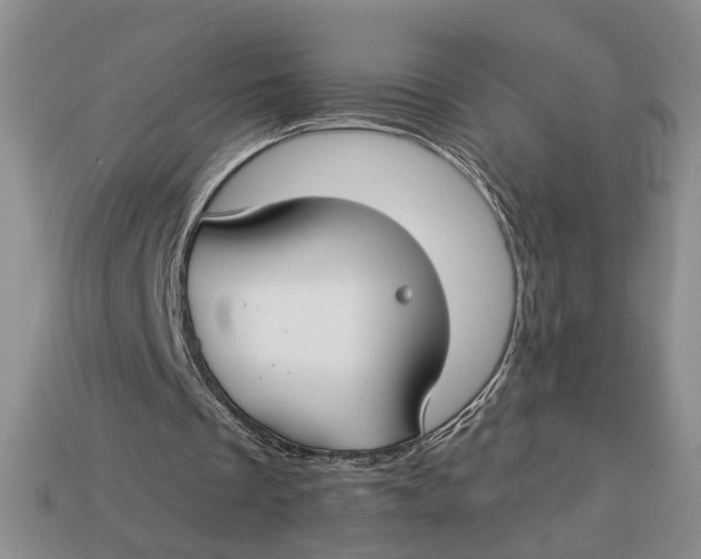 X0000112930289200909211119