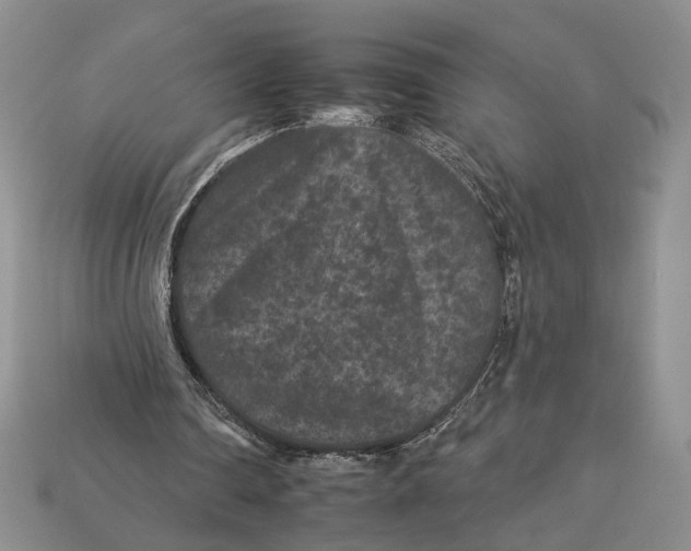 X0000112930290200909211119