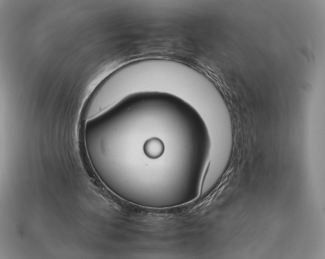 X0000112930292200909211119