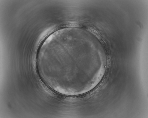 X0000112930293200909211119