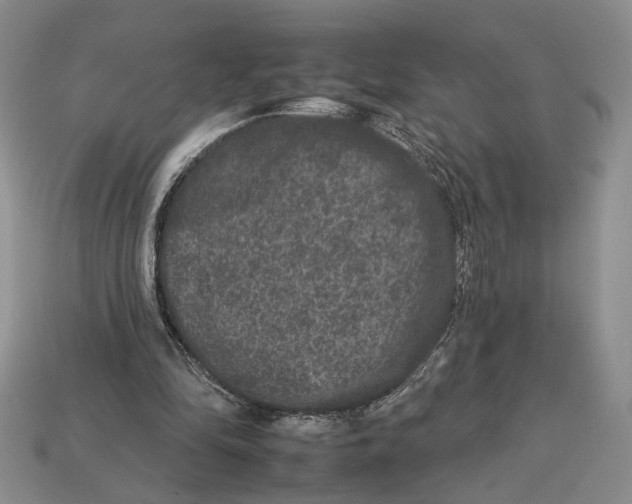 X0000112930294200909211119