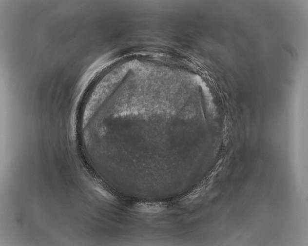 X0000112930296200909211119