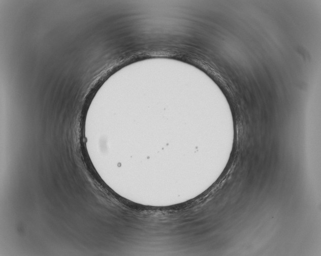X0000112930297200909211119