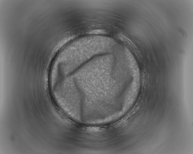 X0000112930298200909211119