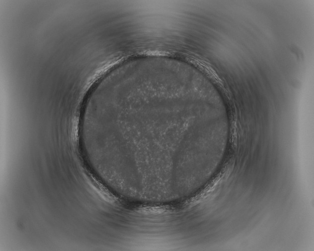 X0000112930299200909211119